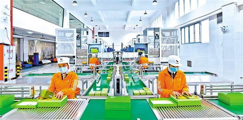 雙輪驅動，服務強區 深圳羅湖構建高效多式聯運服務體系